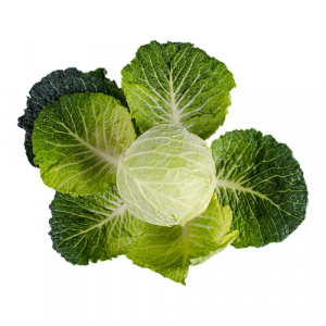 Grünkohl