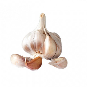 Knoblauch