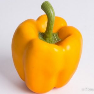 Paprika gelb