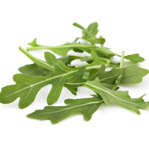 Rucola